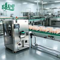 Machine d'inspection d'étiquettes de barquettes à œufs haute vitesse BMG, système de vision industrielle, précision de 0,01 mm, protection IP55, emballage alimentaire