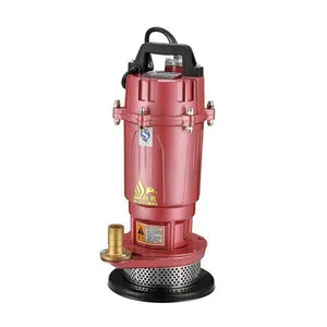 1hp elektrikli su pompası Motor fiyat ile Ac 220v Mini su pompası