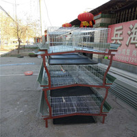 Élevages de poulets en couches métalliques pour usage commercial, respectueux de l'environnement