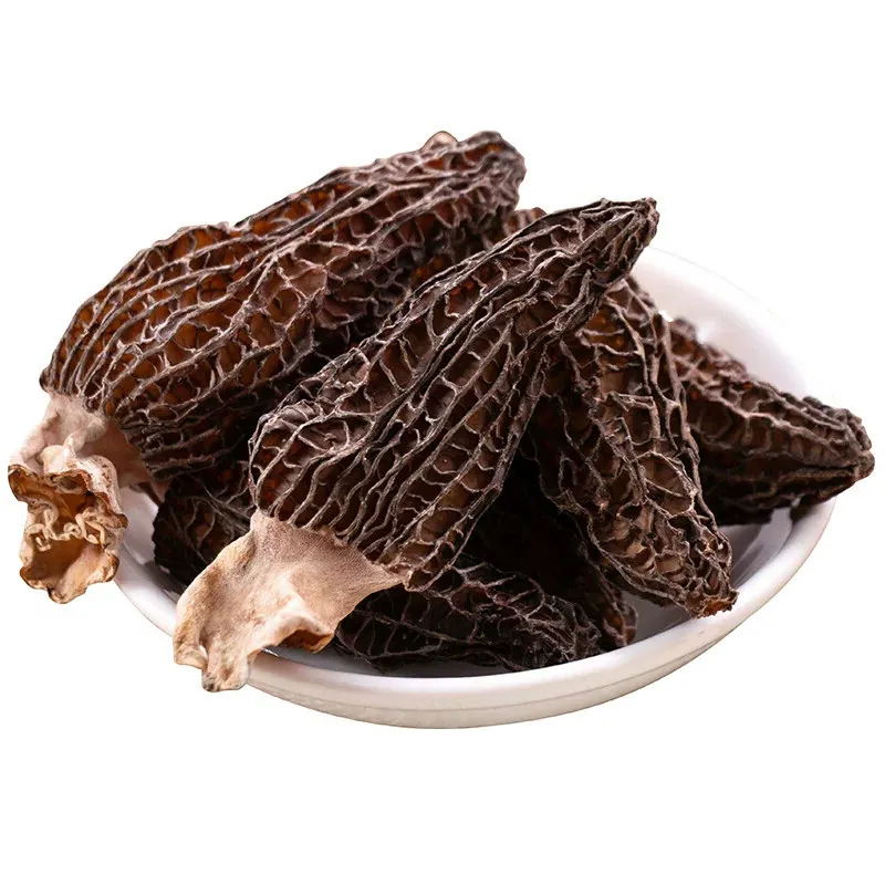 Harga grosir Cina jamur Morel kering Harga jamur Morel hitam