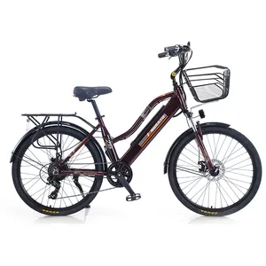 بالجملة الدراجة الكهربائية السيدات الكبار-سعر المصنع E الدراجات تريك دراجة اكسسوارات النساء سيدة دراجة كهربائية