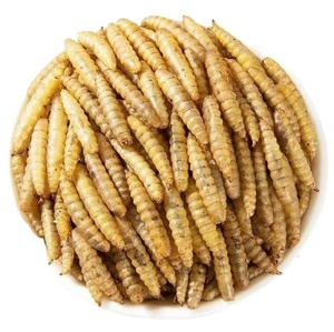 Fabricants à approvisionnement direct, vers de farine jaunes en nourriture humide de qualité alimentaire, emballage personnalisable, à base de viande, biologique, non OGM, pour animaux de compagnie - Product Image 1