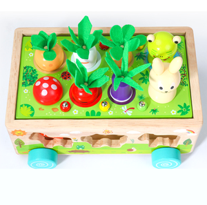 Trieur de forme en bois voiture carotte récolte jeu forme tri <span class=keywords><strong>ferme</strong></span> blocs de fruits jouets d'apprentissage - Product Image 6