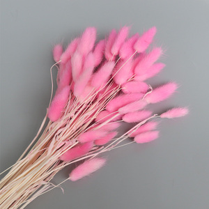 Fiori Secchi <span class=keywords><strong>Lagurus</strong></span> All'Ingrosso, Attraenti per Prezzo e Qualità, Bouquet di Fiori Coda di Coniglio Eterne per Decorazioni Festive - Product Image 5