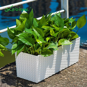 Auto-arrosage de plantes et de légumes, produit de loisir, de bonne qualité, vente en gros, usine chinoise, - Product Image 4