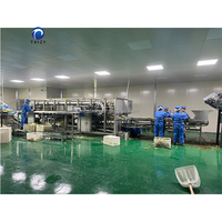 Machine automatique de décorticage et de désillicage du maïs pour usine de transformation du maïs congelé