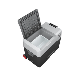 Neveras Portátiles de 12L para Suministros Médicos y Protección Ambiental, Mini Refrigerador para Automóvil - Product Image 1
