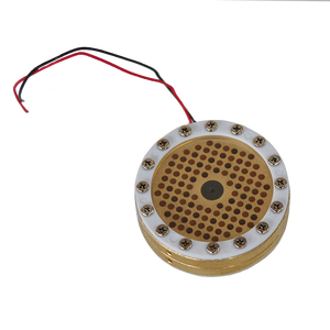 Capsule de microphone grand diaphragme de 34 mm avec plaques arrière isolées en or pour tête de microphone à condensateur - Product Image 6