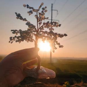 <b>Crystal</b> Chip <b>Tree</b> Money <b>Tree</b> Ornament Home Decoration Free Form East China Sea Origin - Product Image 3