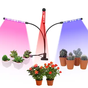 Hot Selling 4 Head Schreibtisch Clip Led Grow Light für Pflanzen