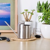 Arrosoir miniature en acier inoxydable personnalisé, très vendu, pour plantes d'intérieur