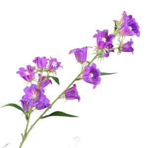 Fleur artificielle Jinxi à tige unique, campanule en soie blanche, rose, jaune, bleue, violette pour décoration de mariage et de maison - Product Image 5