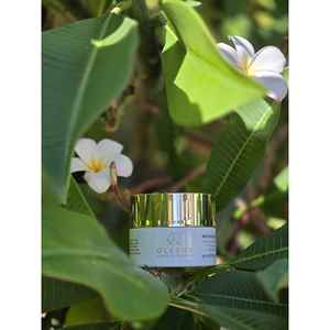 Crème hydratante visage quotidienne Oleage Biotech 50ml, certifiée GMP, éclaircissante, au beurre de karité, riz et acide hyaluronique - Product Image 4