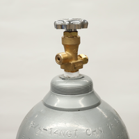 Bouteilles de gaz CO2 en acier sans soudure pour usage incendie (dioxyde de carbone)