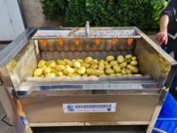 Fabrieksprijs Cactusvijg Groentewasmachine Cassave Peeling Borstel Aardappel Reinigingsmachine