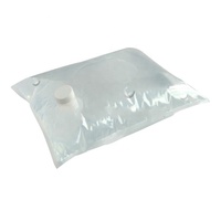 Sac de conditionnement liquide en plastique personnalisé de 2L, 3L, 5L, 10L pour vin et jus, avec valve