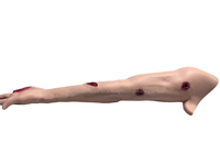 Modelo de Brazo Multiblesiones 2026 para Entrenamiento de Hemostasia y Cuidado de Traumas, Kit de Modelo de Brazo para Entrenamiento de Hemostasia y Aplicación de Apósitos