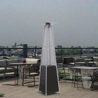 Chauffe-terrasse extérieur à gaz haute puissance en acier inoxydable 430, modèle 2024, chauffage rapide, dispositif anti-basculement, certifié CE, vente chaude