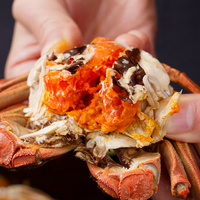 Crabe entier en pâte rouge prêt-à-manger surgelé de qualité supérieure Crabe précuit mariné au vin Hua Diao