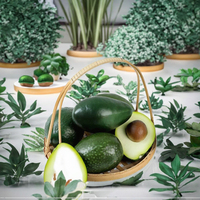 Dunia Bunga Grosir Pilihan Ternyata Terbaik Buah Alpukat Setengah Buah Simulasi Busa Ramah Lingkungan 10.3cm Model Fotografi Buah Artifisial
