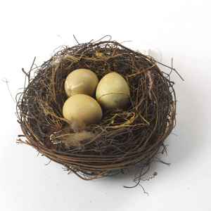 Decorazione di uccelli artificiali di alta qualità con uova - Product Image 4