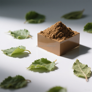 Precio de fábrica 5% DNJ 1-Deoxynojirimycin Halal certificado Extracto de hoja de morera Suplemento HPLC Probado Bolsa a granel Almacenamiento de latas de tambor - Product Image 2