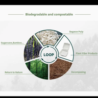 Boîte alimentaire jetable en bagasse de canne à sucre de qualité alimentaire, étanche et résistante à l'huile, conteneur en pulpe compostable, compatible micro-ondes, boîte à emporter