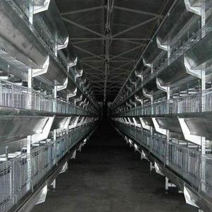भारत में बिक्री के लिए चिकन फार्म का उपयोग चिकन फार्म के लिए पोल्ट्री परतों के लिए स्वचालित एच-प्रकार की बैटरी चिकन पिंजरे - Product Image 3