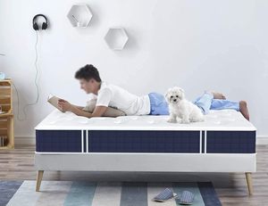 Bộ nhớ Bọt Túi mùa xuân Nệm bán buôn Nhà cung cấp nhà máy tùy chỉnh hiện đại vua Kích thước Trắng giường nệm - Product Image 2