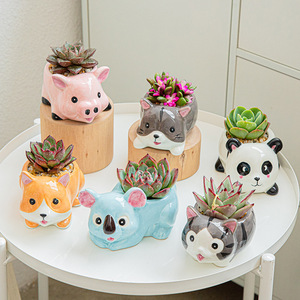 多肉植物プランターポット動物ミニセラミックかわいいポットポット卸売安いmacetas macetasセラミックmacetas para suculentas