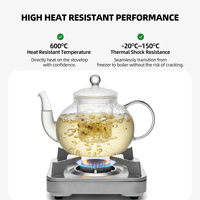 Teko Teh Kaca dengan Infuser Kaca 800ml / 27.33oz, Terbuat dari Kaca Borosilikat Bening untuk Teh Hijau, Teh Daun, Seduhan Harian di Rumah