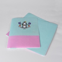 Carpeta de Archivo A4 de Plástico PP Ecológica con Tapa Dura y Doble Bolsillo, Portadocumentos con Logotipo Personalizado Impreso con UV para la Escuela y Oficina