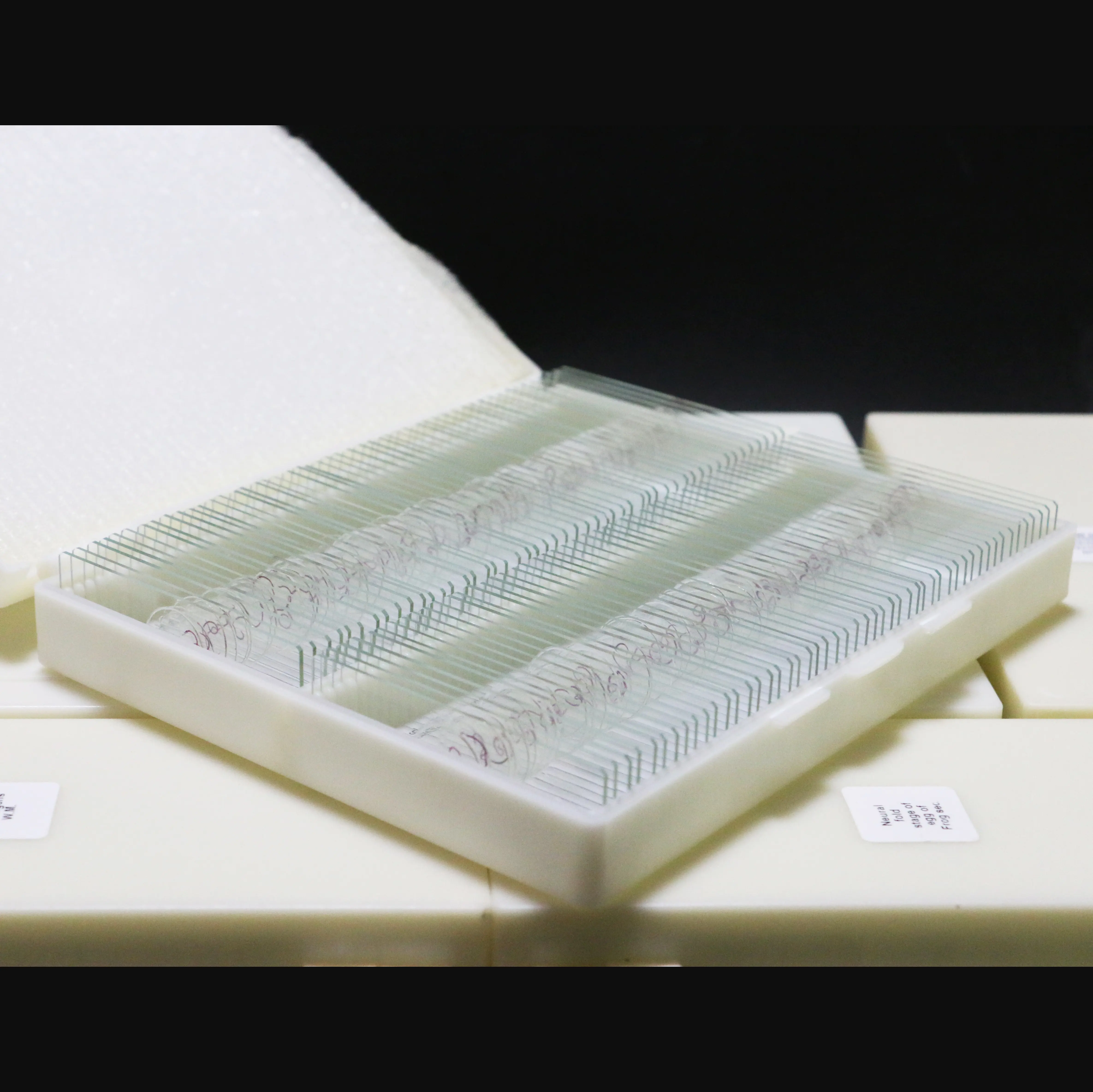 Medical science 18pcs biology prepared microscope slides plant animal cell tissue slides with best price