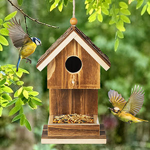 Kuş evleri ahşap kuş evleri dışında kutup ahşap kuş evi asılı Birdhouse gümrükleme bahçe ülke evler - Product Image 3