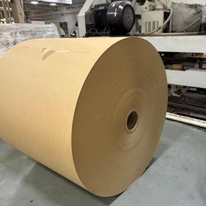 Rouleau de papier enduit de PE de qualité alimentaire, imperméable et résistant à l'huile, rouleau jumbo sur mesure pour la matière première des gobelets en papier jetables - Product Image 4