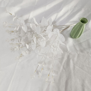 PT-PL018 Vente en gros de feuilles d'<span class=keywords><strong>eucalyptus</strong></span> pour arrangements floraux, centres de table, fleurs séchées, plantes, feuilles préservées, hortensia - Product Image 6