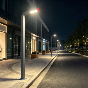 Luces LED de Alta Gama para Exteriores IP65, de 2M-6M, para Jardines, Estacionamientos, Caminos y Calles de Comunidades - Product Image 1