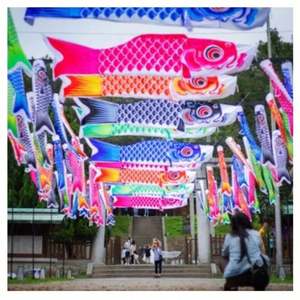 Bandera Decorativa de Fibra de Vidrio con Diseño de Carpa Japonesa Koi, Estilo Satinado 2024, para Bares de Sushi Japoneses, Venta al Por Mayor - Product Image 6