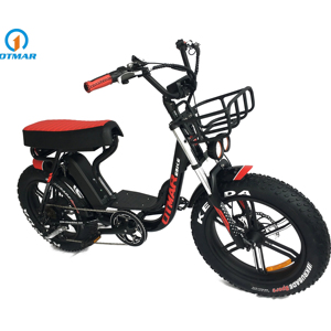 750W moto suspension complète rétro électrique gros <span class=keywords><strong>pneu</strong></span> vélo urbain vintage vélo électrique 7s adulte fabricant OEM Ebike - Product Image 2