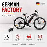 Vélos électriques certifiés CE, vente en gros en Europe, livraison rapide et gratuite, meilleurs services après-vente, demande de garantie pour les détaillants locaux