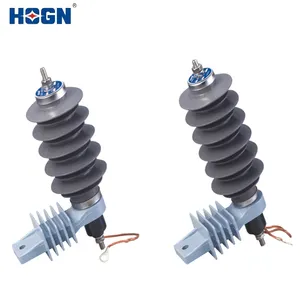 HOGN YH10W Polymergehäuse-Metalloxid-Überspannung sable iter ohne Lücken Nominaler Entlade strom 10 KA (Export) 33 kV