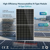Panneau solaire monocristallin 700W à haut rendement et faible dégradation pour les marchés mondiaux
