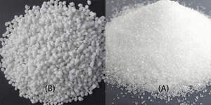 <span class=keywords><strong>Engrais</strong></span> DAP de qualité industrielle et sulfate d'ammonium en sac de 25 kg, poudre de phosphate, prix compétitifs - Product Image 5