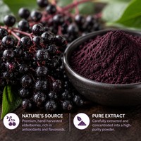 Poudre d'extrait naturel de sureau 15% 25% Anthocyanes Qualité alimentaire Certifié HPLC