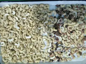 Mesin pemisah penyortir warna kacang mete cerdas mesin pemisah pemisah untuk peralatan pemisah warna kacang