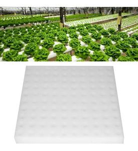 Thủy canh nổi bè khay Hội Đồng Quản trị bọt tấm cho thủy canh nông nghiệp trồng Nhà kính trồng rau - Product Image 3