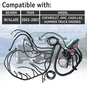 4L60E DBW Automotive Wiring Harness Engine Automobile Custom Cable Wiring Automotive Wire Harness Assembly For Car