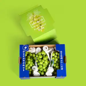 De gros boîte de fruits raisins-Shangji — papier de fruits ondulé de raisin vert, boîte-cadeau livraison en Carton pour raisin