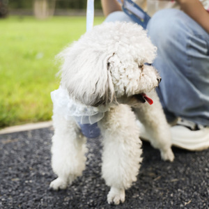 <b>Pet</b> leash vest style cat and dog universal chest <b>harness</b> cat and dog supplies cat and dog walking leash - Product Image 4