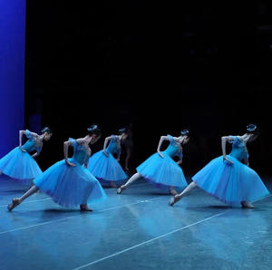 Vestido de Ballet <span class=keywords><strong>blanco</strong></span>, ropa de actuación, tutú de Ballet largo romántico, bailarina del lago de los Cisnes, disfraz de Ballet de hadas para niños y niñas - Product Image 6